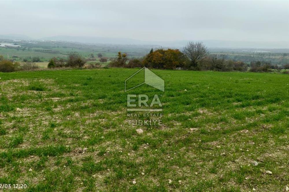 ERA SÖZ'DEN BALIKESİR PAMUKÇU MAHALLESİNDE SATILIK TARLA