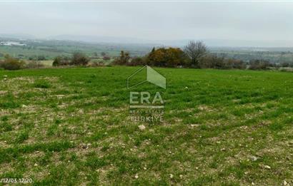 ERA SÖZ'DEN BALIKESİR PAMUKÇU MAHALLESİNDE SATILIK TARLA