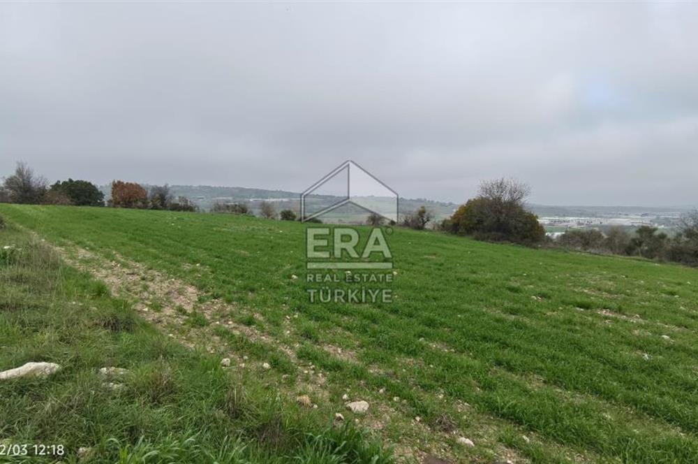 ERA SÖZ'DEN BALIKESİR PAMUKÇU MAHALLESİNDE SATILIK TARLA