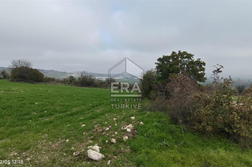 ERA SÖZ'DEN BALIKESİR PAMUKÇU MAHALLESİNDE SATILIK TARLA