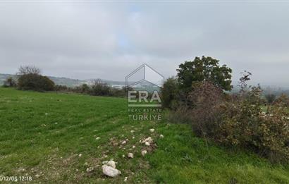 ERA SÖZ'DEN BALIKESİR PAMUKÇU MAHALLESİNDE SATILIK TARLA