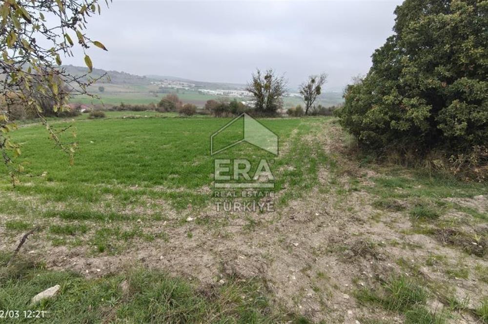 ERA SÖZ'DEN BALIKESİR PAMUKÇU MAHALLESİNDE SATILIK TARLA