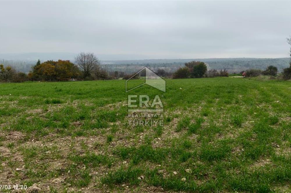 ERA SÖZ'DEN BALIKESİR PAMUKÇU MAHALLESİNDE SATILIK TARLA