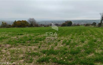 ERA SÖZ'DEN BALIKESİR PAMUKÇU MAHALLESİNDE SATILIK TARLA