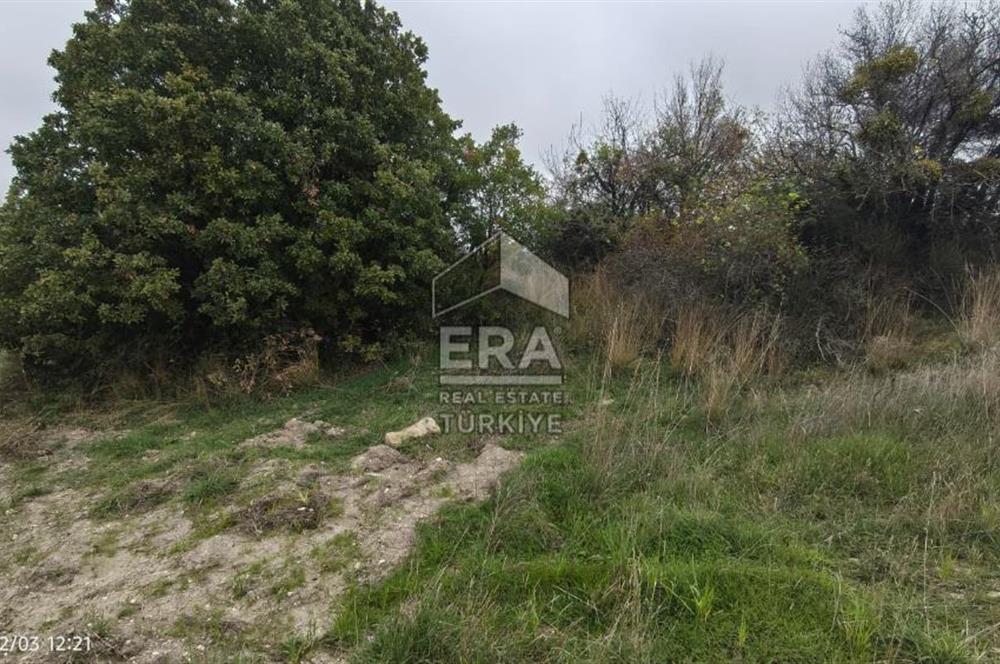 ERA SÖZ'DEN BALIKESİR PAMUKÇU MAHALLESİNDE SATILIK TARLA