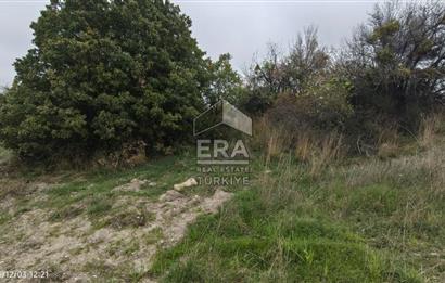 ERA SÖZ'DEN BALIKESİR PAMUKÇU MAHALLESİNDE SATILIK TARLA