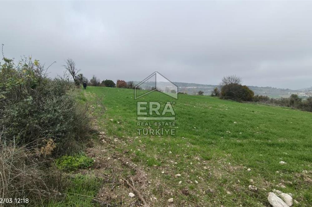 ERA SÖZ'DEN BALIKESİR PAMUKÇU MAHALLESİNDE SATILIK TARLA