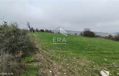 ERA SÖZ'DEN BALIKESİR PAMUKÇU MAHALLESİNDE SATILIK TARLA