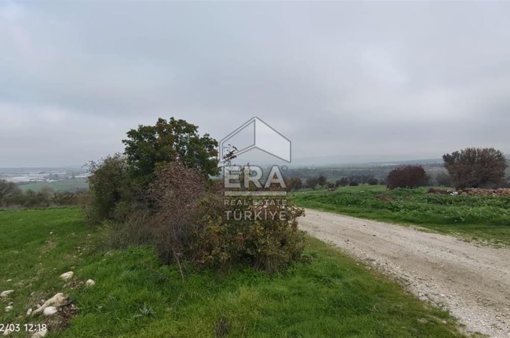 ERA SÖZ'DEN BALIKESİR PAMUKÇU MAHALLESİNDE SATILIK TARLA