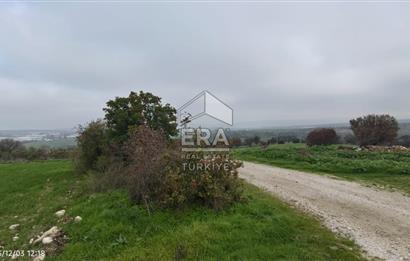 ERA SÖZ'DEN BALIKESİR PAMUKÇU MAHALLESİNDE SATILIK TARLA