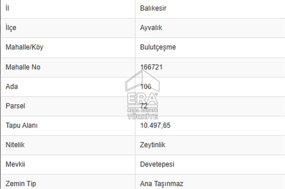 Era Angel'dan Ayvalık’ta 177 Ağaçlı 10.500 m² Zeytinlik! Kaçırılmayacak Yatırım Fırsatı”