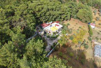 BUCA DOĞANCILAR 4.350 M2 TEK TAPU 350 M2 DUBLEX VİLLA VE ARSASI - 10 - 14008