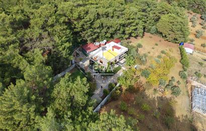 BUCA DOĞANCILAR 4.350 M2 TEK TAPU 350 M2 DUBLEX VİLLA VE ARSASI