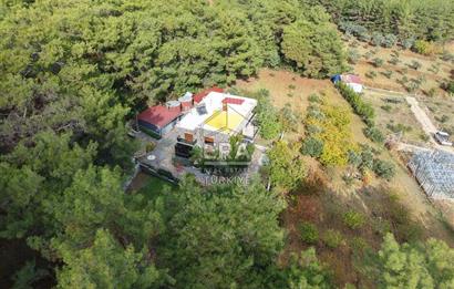 BUCA DOĞANCILAR 4.350 M2 TEK TAPU 350 M2 DUBLEX VİLLA VE ARSASI