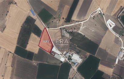 ERA PORT GÜVENCESİYLE BALIKESİR PAMUKÇU DA 7836m² TARLA