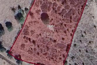 ERA PORT GÜVENCESİYLE BALIKESİR DURSUNBEY KUMLU'DA 4452 m² TARLA - 1 - 14005