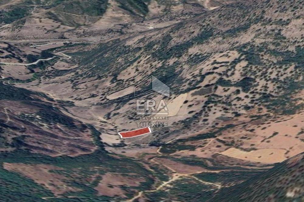 ERA PORT GÜVENCESİYLE BALIKESİR DURSUNBEY KUMLU'DA 4452 m² TARLA