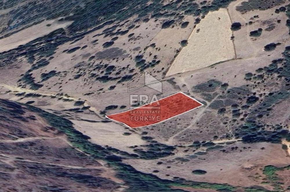 ERA PORT GÜVENCESİYLE BALIKESİR DURSUNBEY KUMLU'DA 4452 m² TARLA