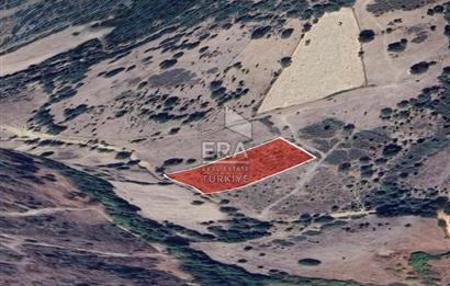 ERA PORT GÜVENCESİYLE BALIKESİR DURSUNBEY KUMLU'DA 4452 m² TARLA