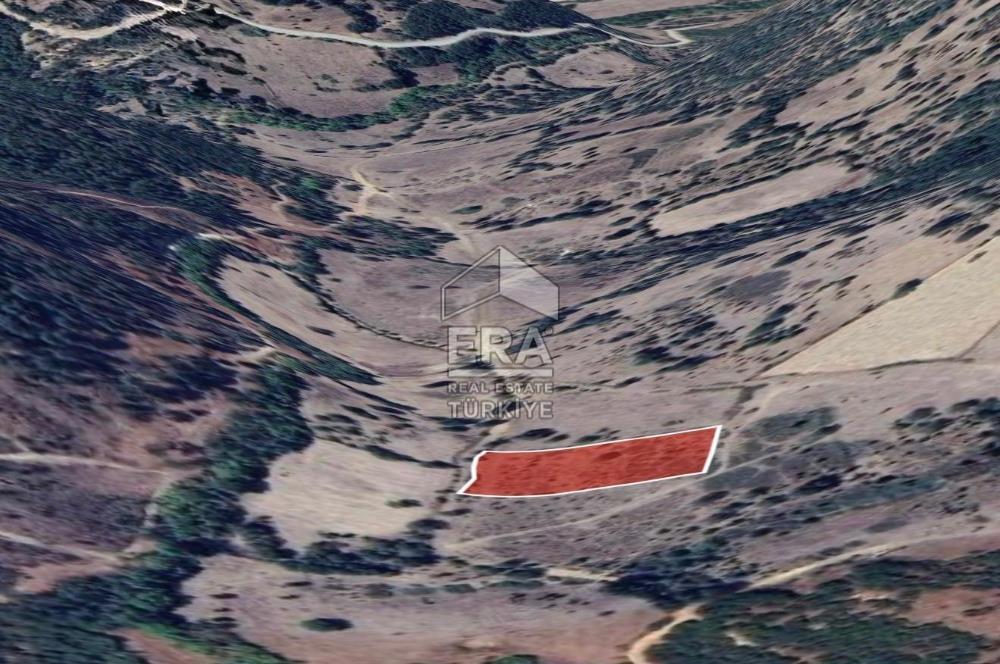 ERA PORT GÜVENCESİYLE BALIKESİR DURSUNBEY KUMLU'DA 4452 m² TARLA