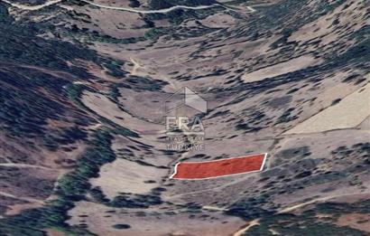 ERA PORT GÜVENCESİYLE BALIKESİR DURSUNBEY KUMLU'DA 4452 m² TARLA