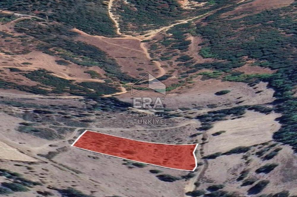 ERA PORT GÜVENCESİYLE BALIKESİR DURSUNBEY KUMLU'DA 4452 m² TARLA