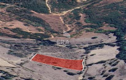 ERA PORT GÜVENCESİYLE BALIKESİR DURSUNBEY KUMLU'DA 4452 m² TARLA