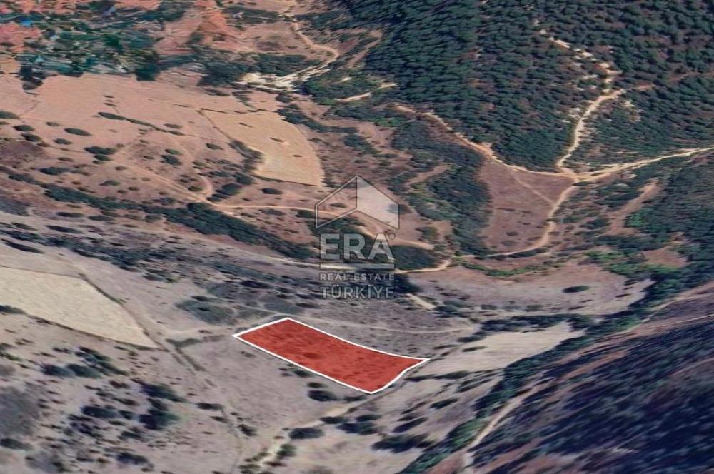 ERA PORT GÜVENCESİYLE BALIKESİR DURSUNBEY KUMLU'DA 4452 m² TARLA