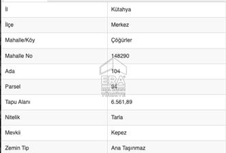 Kütahya Merkez Çöğürler’de, Yatırımlık 6.5 Dönüm MÜSTAKİL TEK TAPU Tarla - 4 - 13999