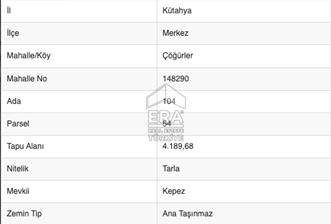Kütahya Merkez Çöğürlerde, En Uygun Bütçeyle Toprak Yatırımı - 9 - 14013