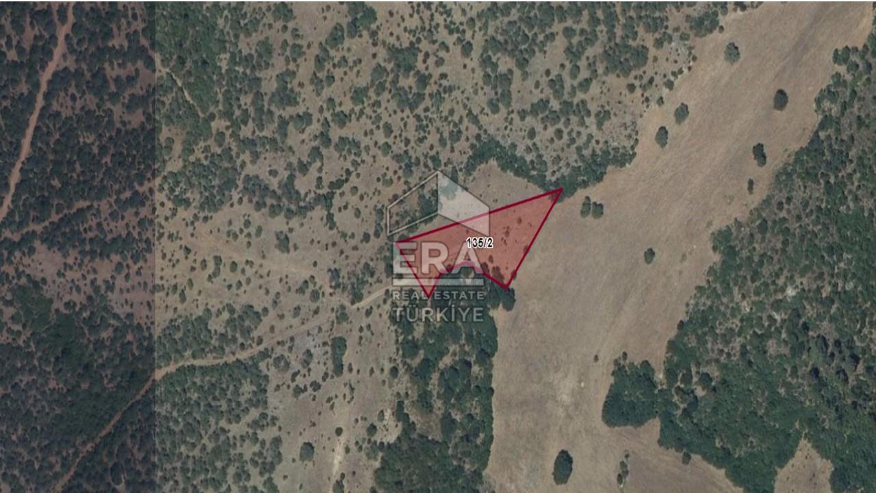 BALIKESİR KEPSUT GÖBEL DE SATILIK 2686M² TARLA