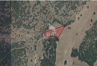 BALIKESİR KEPSUT GÖBEL DE SATILIK 2686M² TARLA - 1 - 13991