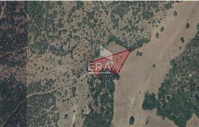 BALIKESİR KEPSUT GÖBEL DE SATILIK 2686M² TARLA