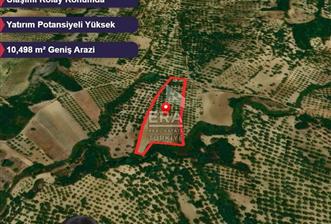 Era Angel'dan Ayvalık’ta 177 Ağaçlı 10.500 m² Zeytinlik! Kaçırılmayacak Yatırım Fırsatı” - 3 - 14053