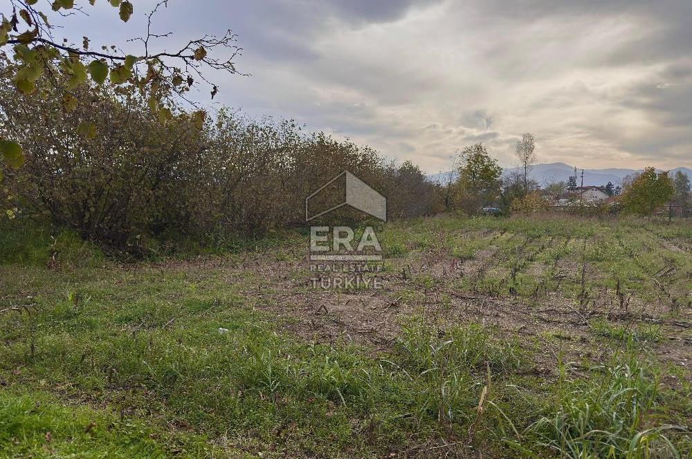 ERA KARATTAN SAKARYA AKYAZI YAHYALIDA 4086 M2 TARLA