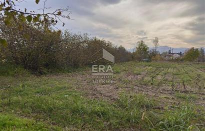 ERA KARATTAN SAKARYA AKYAZI YAHYALIDA 4086 M2 TARLA