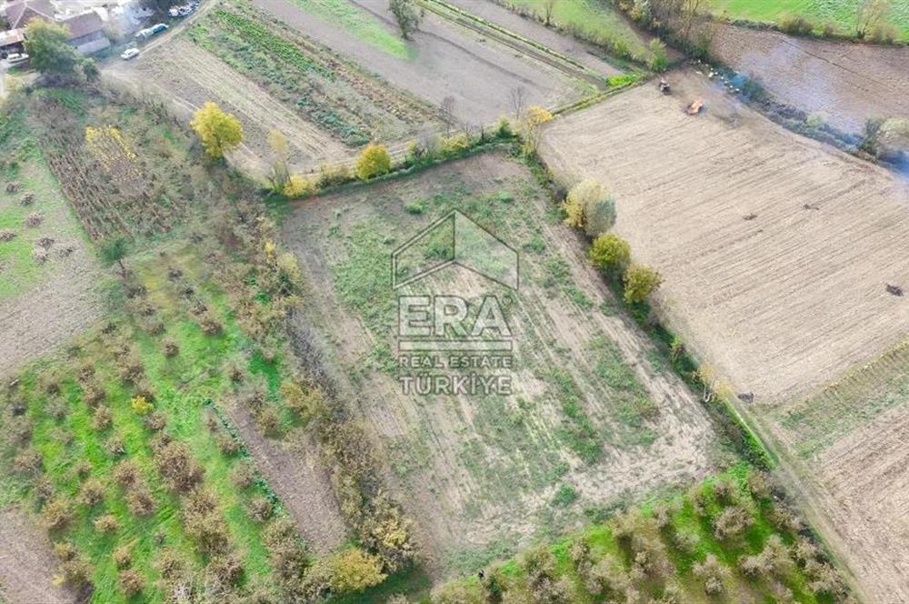 ERA KARATTAN SAKARYA AKYAZI YAHYALIDA 4086 M2 TARLA