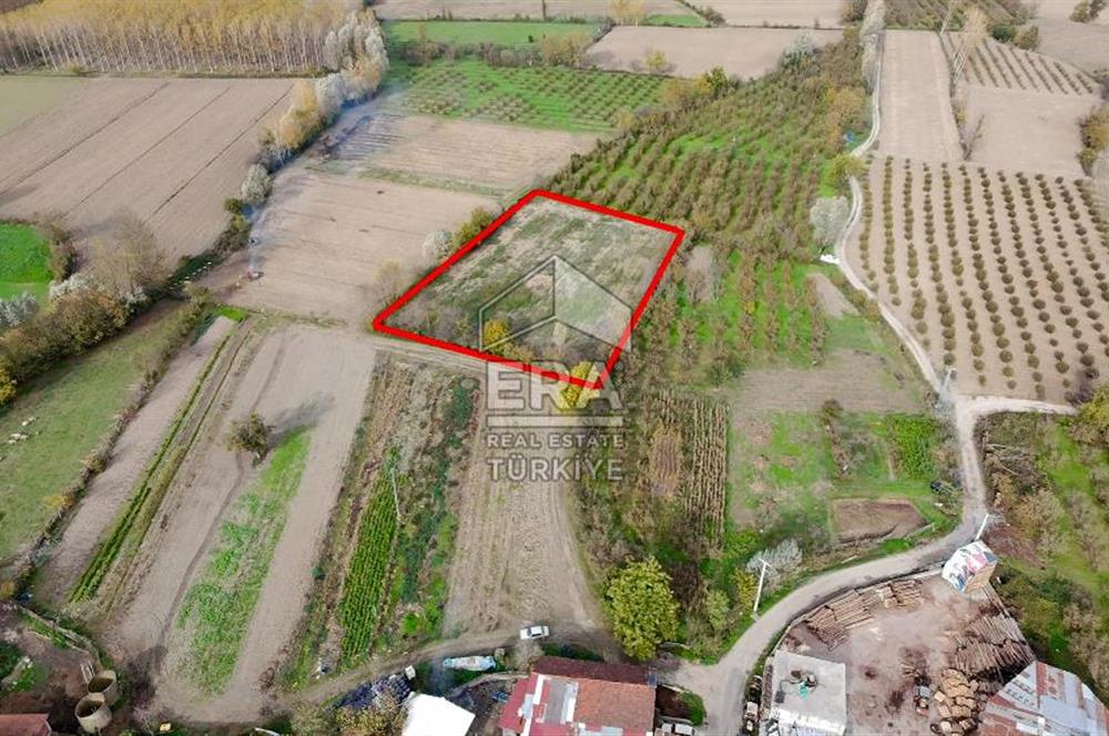 ERA KARATTAN SAKARYA AKYAZI YAHYALIDA 4086 M2 TARLA