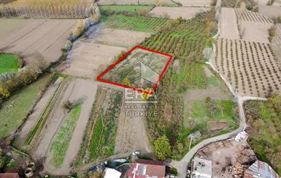 ERA KARATTAN SAKARYA AKYAZI YAHYALIDA 4086 M2 TARLA