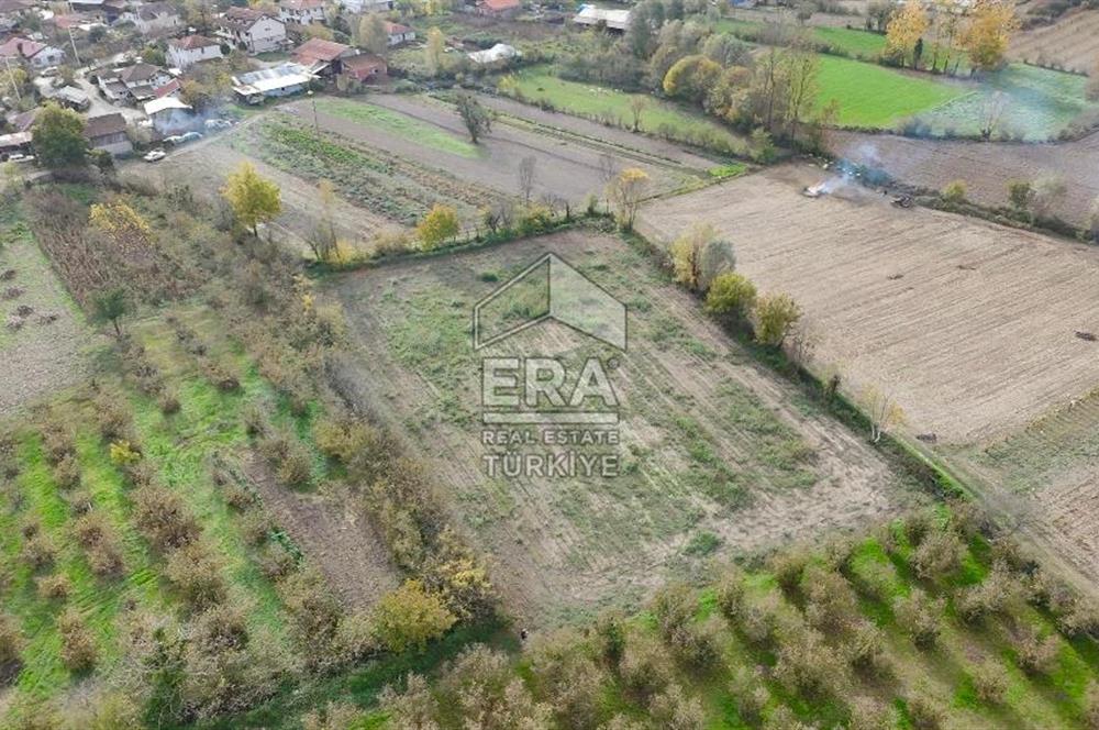 ERA KARATTAN SAKARYA AKYAZI YAHYALIDA 4086 M2 TARLA