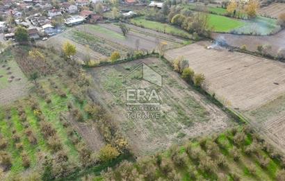 ERA KARATTAN SAKARYA AKYAZI YAHYALIDA 4086 M2 TARLA