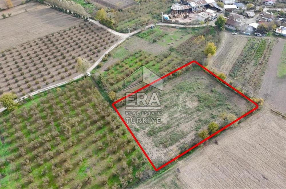 ERA KARATTAN SAKARYA AKYAZI YAHYALIDA 4086 M2 TARLA