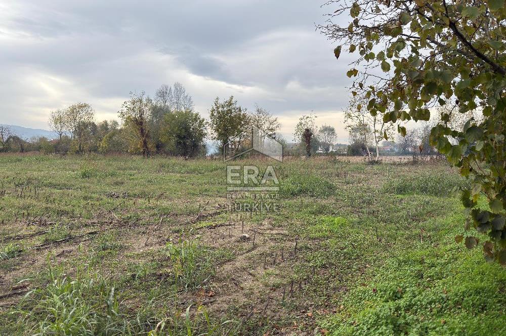 ERA KARATTAN SAKARYA AKYAZI YAHYALIDA 4086 M2 TARLA