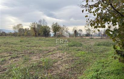 ERA KARATTAN SAKARYA AKYAZI YAHYALIDA 4086 M2 TARLA