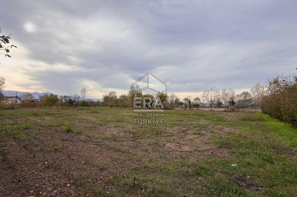 ERA KARATTAN SAKARYA AKYAZI YAHYALIDA 4086 M2 TARLA