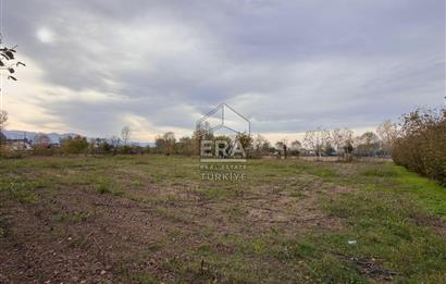 ERA KARATTAN SAKARYA AKYAZI YAHYALIDA 4086 M2 TARLA