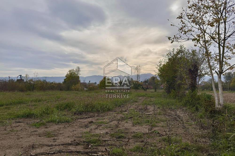 ERA KARATTAN SAKARYA AKYAZI YAHYALIDA 4086 M2 TARLA