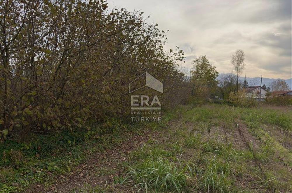 ERA KARATTAN SAKARYA AKYAZI YAHYALIDA 4086 M2 TARLA