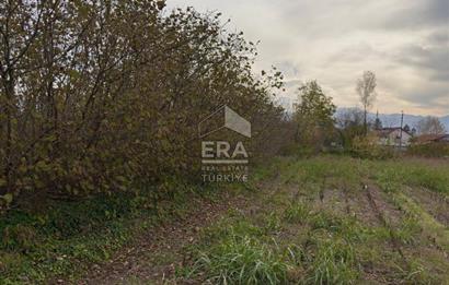 ERA KARATTAN SAKARYA AKYAZI YAHYALIDA 4086 M2 TARLA