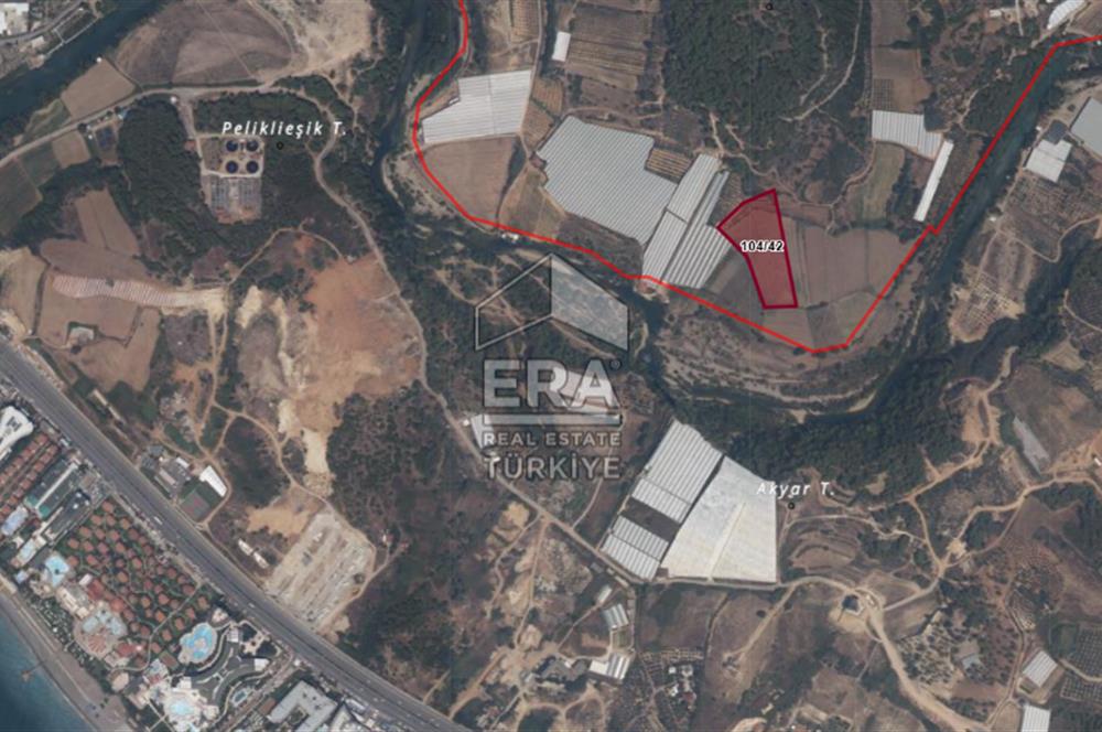 ANTALYA MANAVGAT BOZTEPE MAHALLESİ SATILIK TARLA